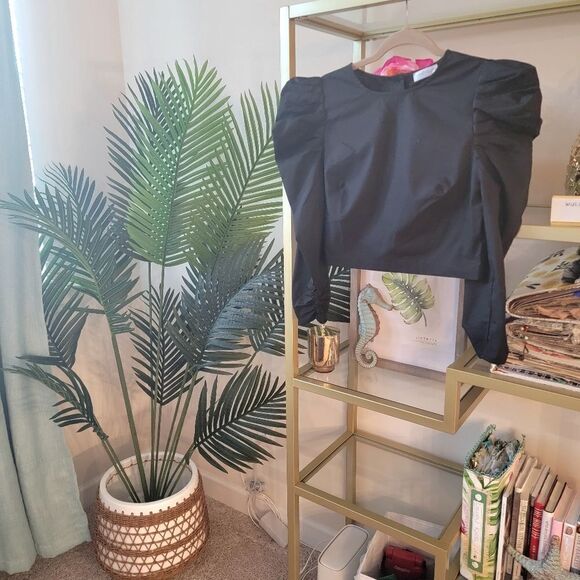 Vestique Crop Puff Sleeve Statement Top in Black - Size Large Long/3/4's sleeve! - Picture 3 of 6